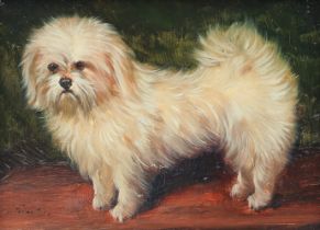 Benson (British, 20th Century) Six Portraits of Various Dog Breeds 7 x 9.5cm (2 3/4 x 3 3/4in). (6)