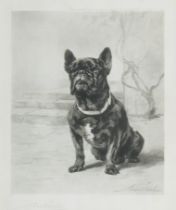 Maud Earl (British, 1863-1943) The French Bulldog, 'Qui Qui' of Amersham image 30 x 24.5cm (11 1...