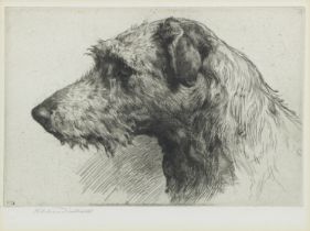 Herbert Thomas Dicksee RE (British, 1862-1942) Scottish Deerhound plate 15 x 22.5cm (5 7/8 x 8 7...