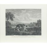 After George Stubbs, engraved by William Woollett (British, 1735-1785) The Spanish Pointer plate...