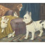 Sophie Pir (French, 1858-1936) The Guardian - A French Bulldog and Kittens