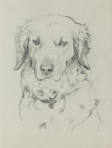 John Murray Thomson RSA RSW PSSA (British, 1885-1974) Sketch of a Retriever and another of Young...