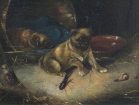 Horatio Henry Couldery (British, 1832-1893) A Pug Startled by a Stag Beetle