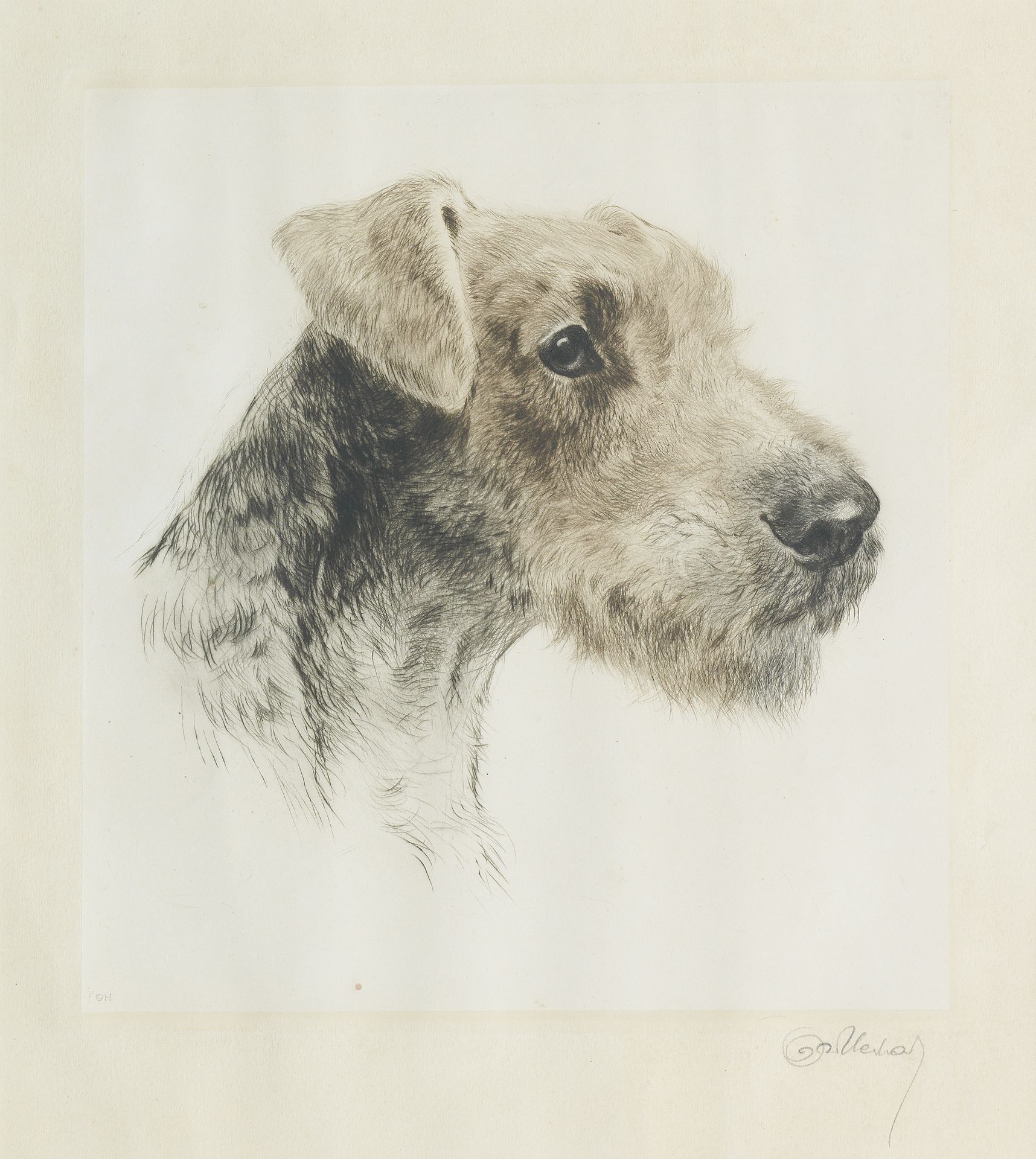 Curt Meyer-Eberhardt (German, 1895-1957) An Airedale Terrier image 28 x 25cm (11 x 9 13/16in).