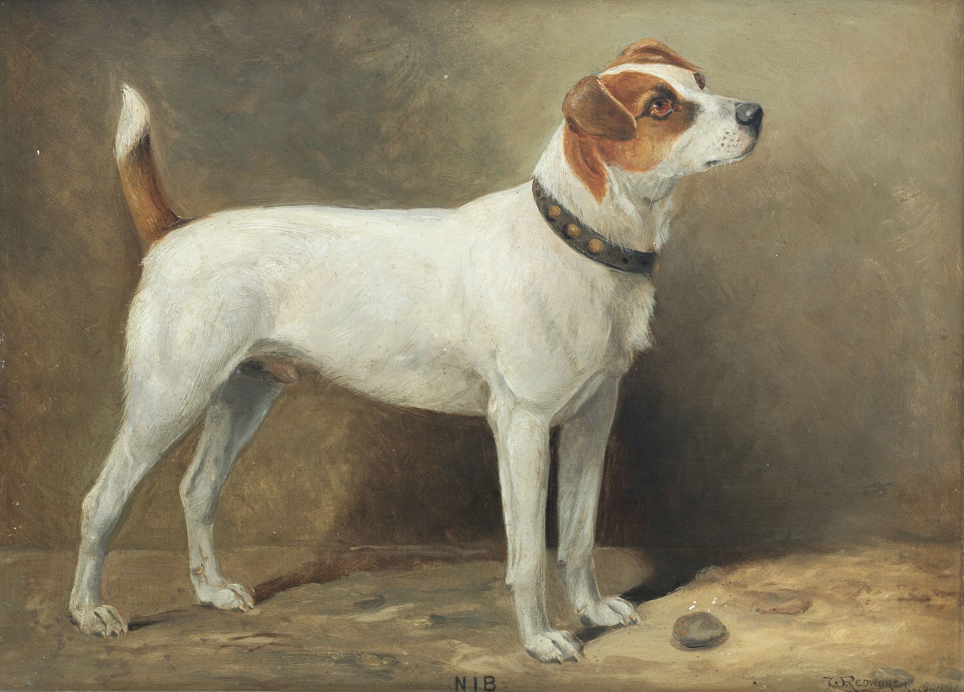 William Josiah Redworth (British, 1873-1947) 'Nib' - A Terrier