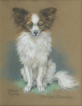 M. Joyce Davies (British, 19th/20th Century) 'Kelpie Dandy'