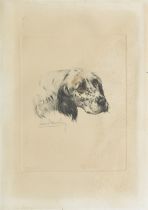 L&#233;on Danchin (French, 1887-1938) An English Setter plate 26.5 x 21.5cm (10 7/16 x 8 7/16in)...