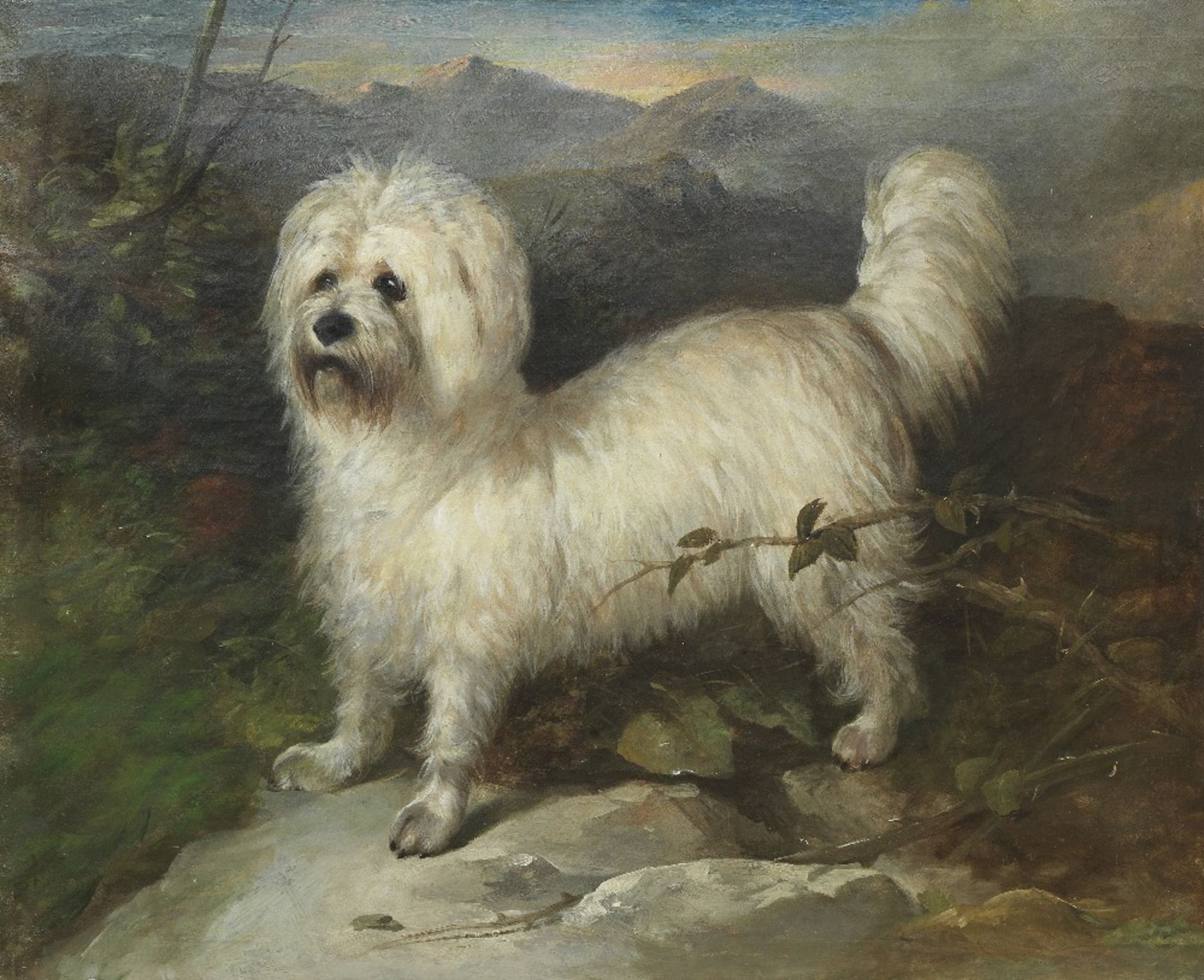 British School, 19th century A Dandie Dinmont Terrier