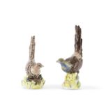 Paire de faisans en porcelaine de Meissen, circa 1750-55A pair of Meissen pheasants, circa 1750-55