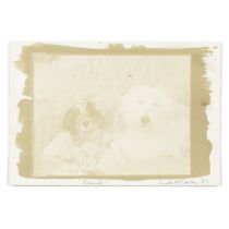 Linda McCartney (American, 1942-1998): A Sun Print Entitled Friends, With An Autographed Copy Of...