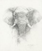 David Shepherd C.B.E. (British, 1931-2017) Bull Elephant