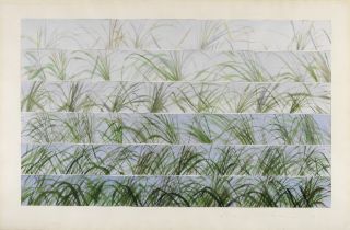 Rory McEwen (British, 1932-1982) Grass Studies