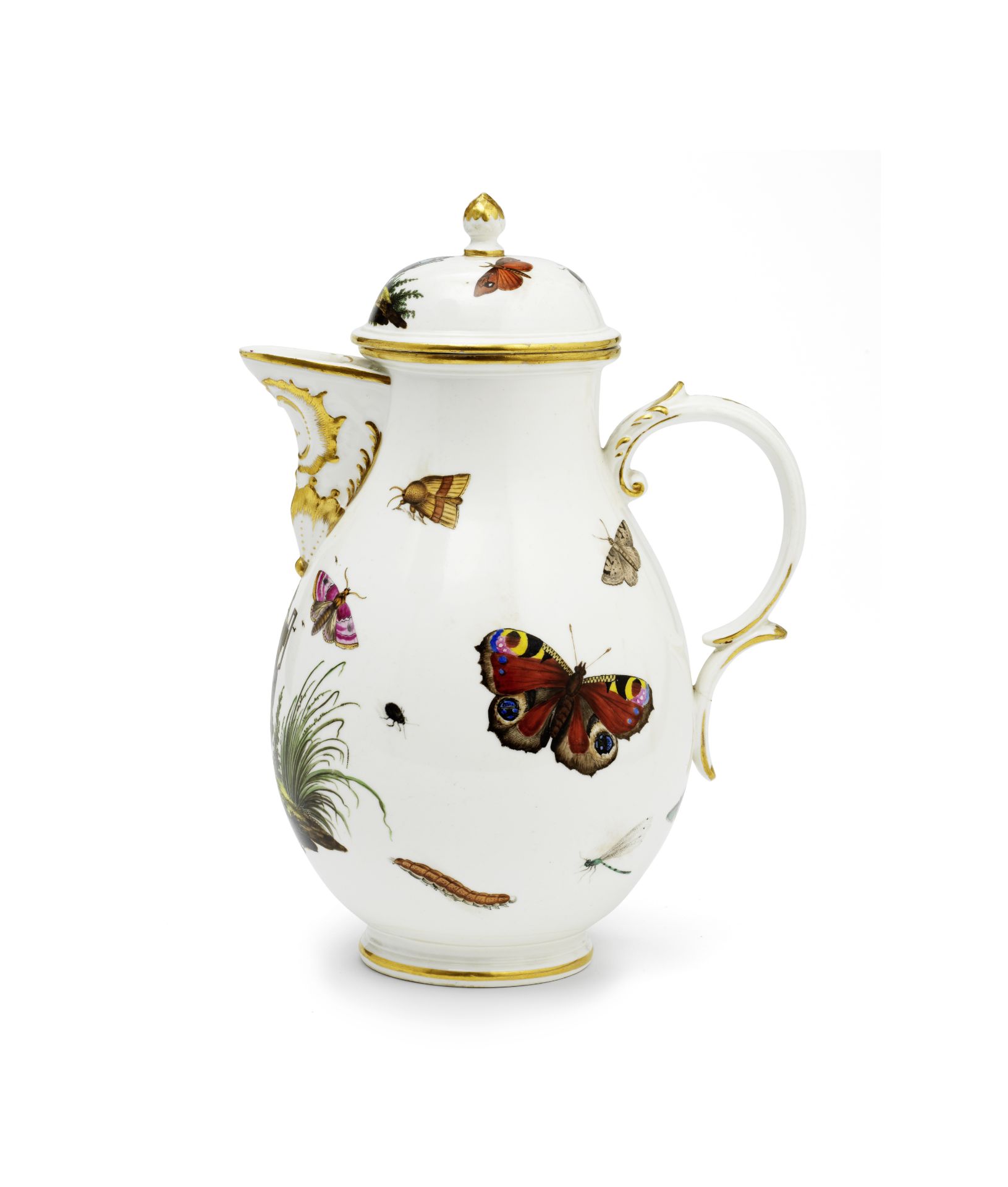 A rare Fulda Lepidopterological coffee pot and cover, circa 1775