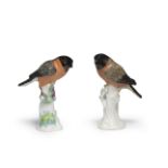 Two Meissen models of bullfinches, circa 1750