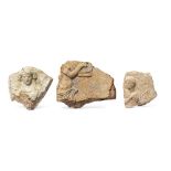 Three Campana terracotta relief fragments 3