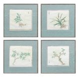 A set of four Chinese botanical watercolours, on paper 19th century