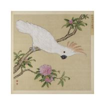 JIANG TINGXI (1669&#8211;1732) Manuel Imp&#233;rial des Oiseaux, Niao Pu Cacato&#232;s &#224; H...