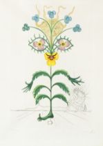 SALVADOR DAL&#205; (1904-1989) Pens&#233;e (Viola cogigans), 1968 Eau-forte, pointe-s&#232;che ...