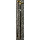 Two vintage walking canes to include horn and silver top handle and brass engraved handle.