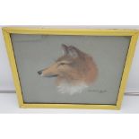 Ralston Gudgeon Original pastel drawing of a dog. Signed. [frame 34x42cm] [Crack in glass during