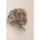 Watercolour depicting a dog, Signed Tavener. [60x50cm] Along with oil on milk glass also depicting a