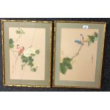 Framed Chinese painting on silk depicting birds [53x39cm]