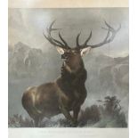 Large 19th century coloured engraving of a stag titled 'Monarch of the Glen' Engraved by Thomas