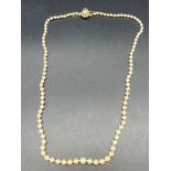 Antique 9t yellow gold and pearl necklace. 9ct gold clasp and catch detailed with pearl setting.