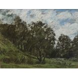 Syd Walker Pastel titled 'Nathro - Glen Lethnott' [50x60cm]