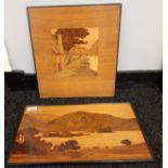 Two wood inlay veneer marquetry river and village scene [39x36cm] [28x47cm]