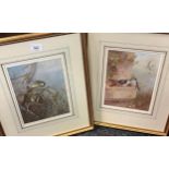 Four signed prints- Two A. Thorburn bird study prints and two Elizabeth Cameron plant species
