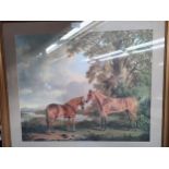 Large Horse scene picture in fitted framing signed