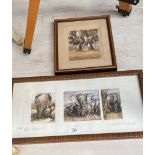 Limited edition Coloured engraving titled 'African Elephant II' and signed in pencil by the