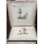 Two ltd Edition prints after Elizabeth Cameron- signed in pencil. Both depicting species of