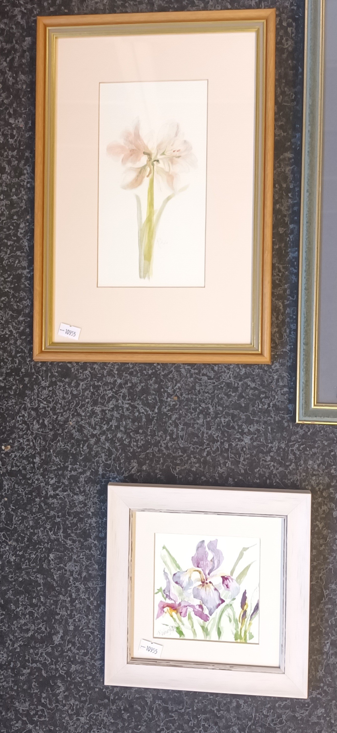 Six framed watercolours all signed by the artist, all depicting flowers. To include - ''Blue Poppy'' - Image 5 of 6