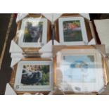 A Collection of new and sealed limited edition and signed Stephen Gayford animal prints.
