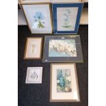 Six framed watercolours all signed by the artist, all depicting flowers. To include - ''Blue Poppy''