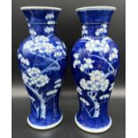A Pair of Chinese Qing Dynasty Kangxi Nian Zhi - "Kangxi Period Make" blue and white blossom