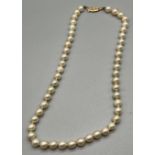 Vintage pearl necklace designed with a 9ct yellow gold clasp and catch.