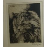 Original etching ''Miffy'' signed Ken Conte [38x27cm]
