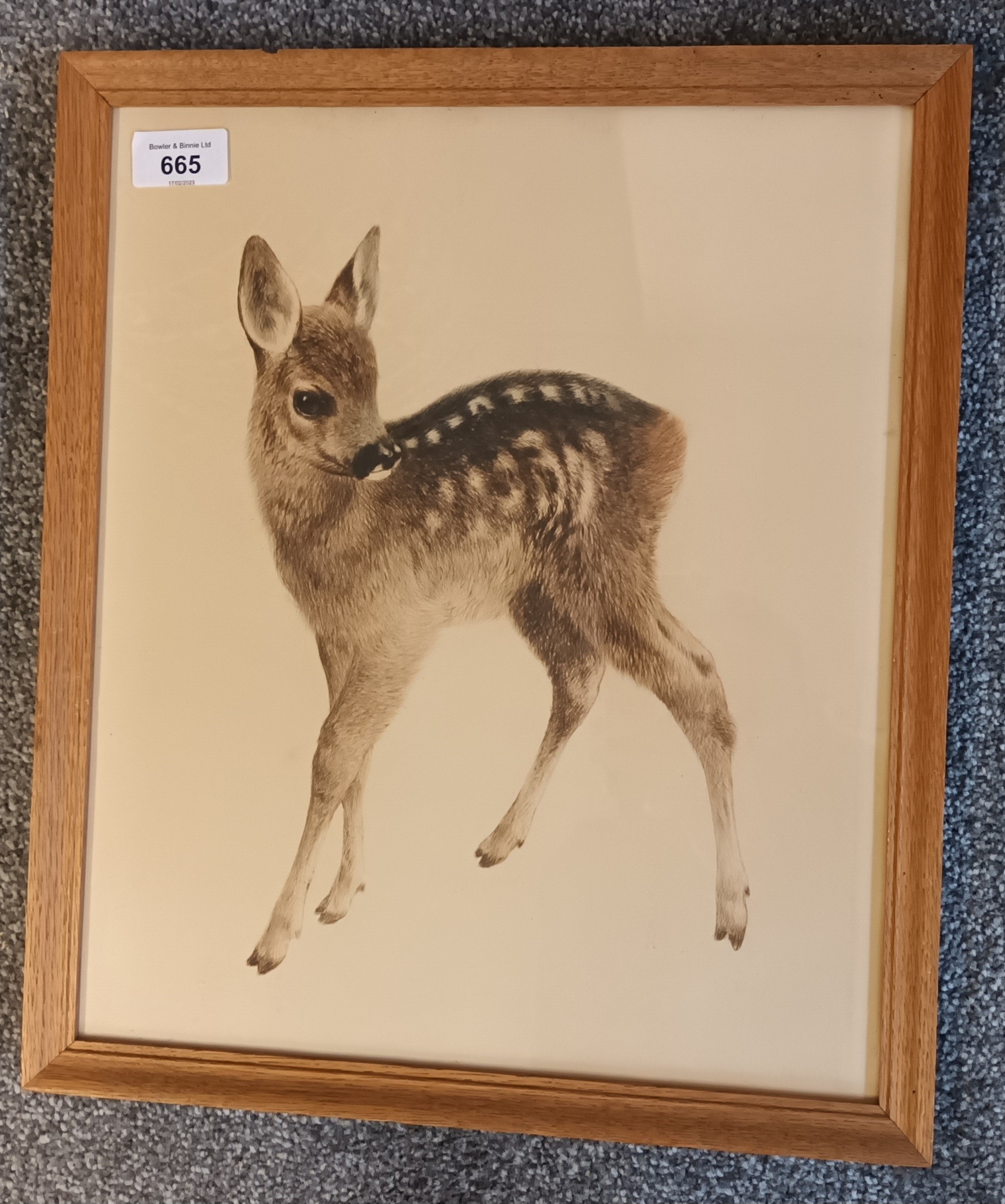 Kurt Meyer-Eberhardt (1895-1977) Original etching titled 'Fawn' [41x35cm] - Image 2 of 3