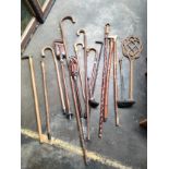 A Collection of vintage walking sticks includes whippet dog handled walking stick, 2 shooting sticks