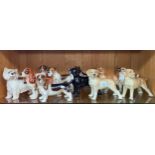 A Large shelf of collectable porcelain dog figures to include coopercraft