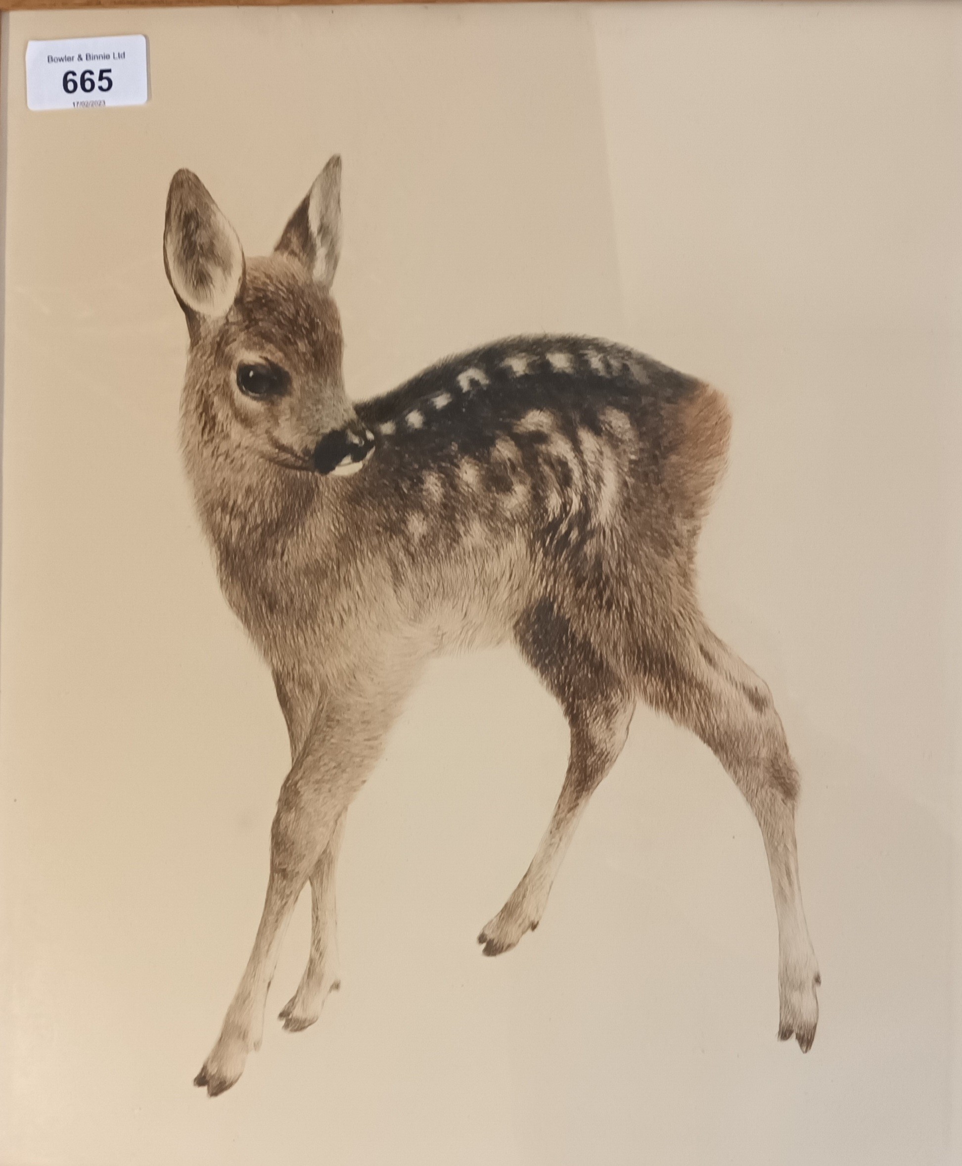 Kurt Meyer-Eberhardt (1895-1977) Original etching titled 'Fawn' [41x35cm]