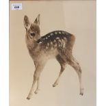 Kurt Meyer-Eberhardt (1895-1977) Original etching titled 'Fawn' [41x35cm]