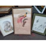 Selection of bird scene prints includes owls etc
