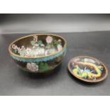 19th century Chinese Cloisonné bowl and miniature Cloisonné pin dish