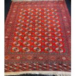 Antique Tekke Turkmen large rug. [324x263cm]