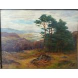 James Henry Crossland (1852-1939) 19th Century oil depicting landscape within a moulded frame. [