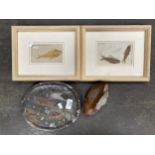 2 Framed Knightia alta wyoming fossil fish, fossil plate along with agate rock